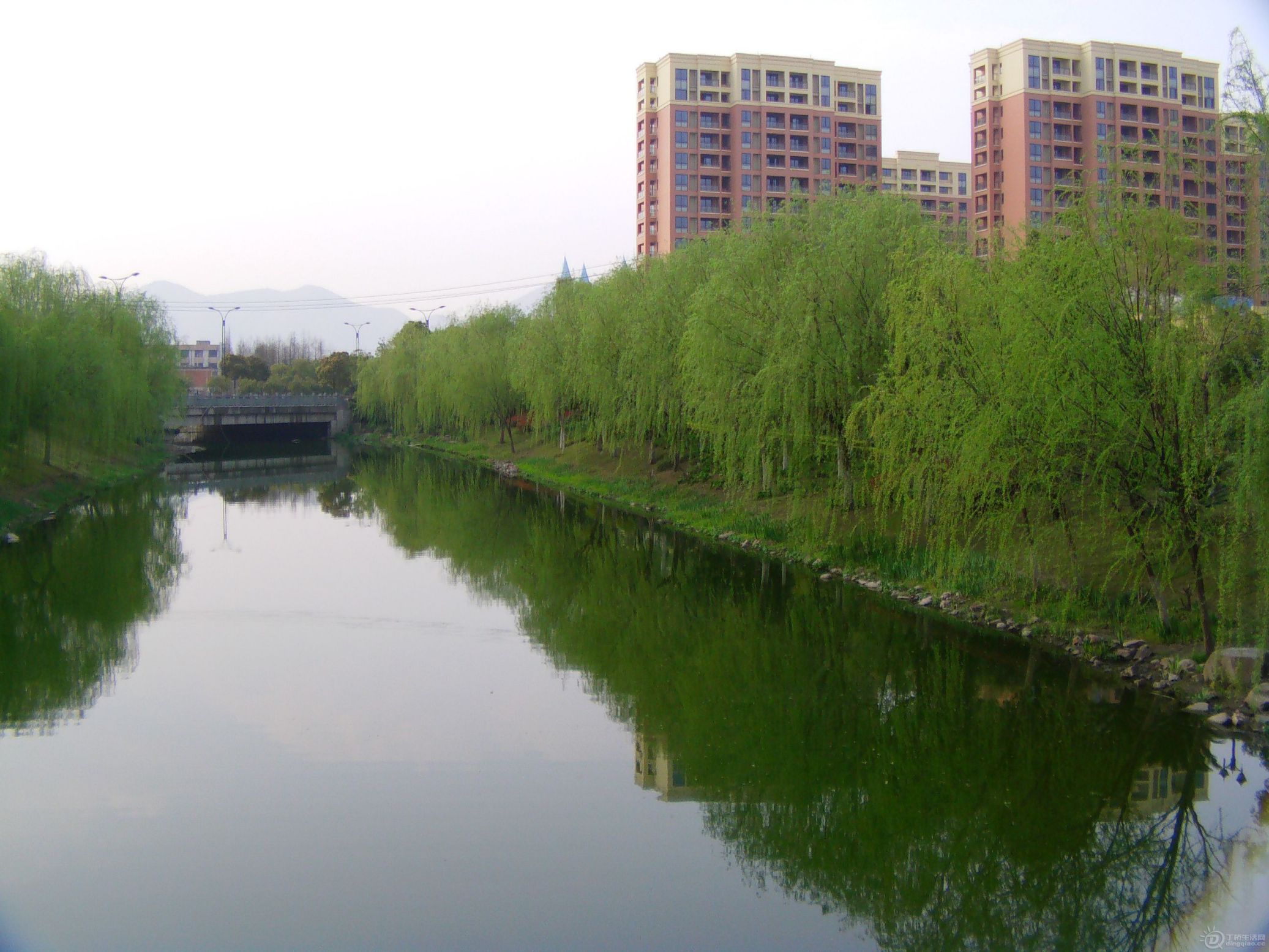 IMAG0041.JPG