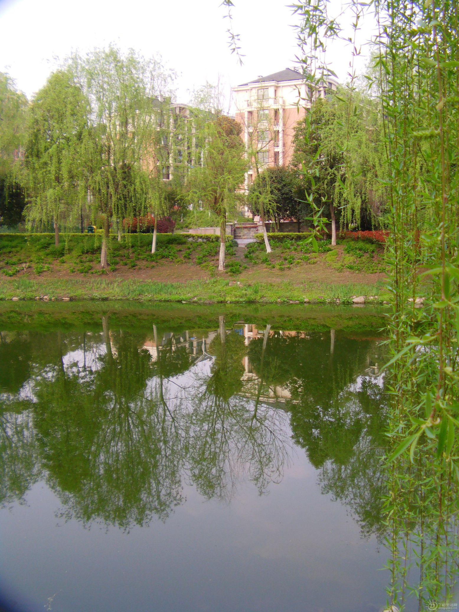 IMAG0044.JPG