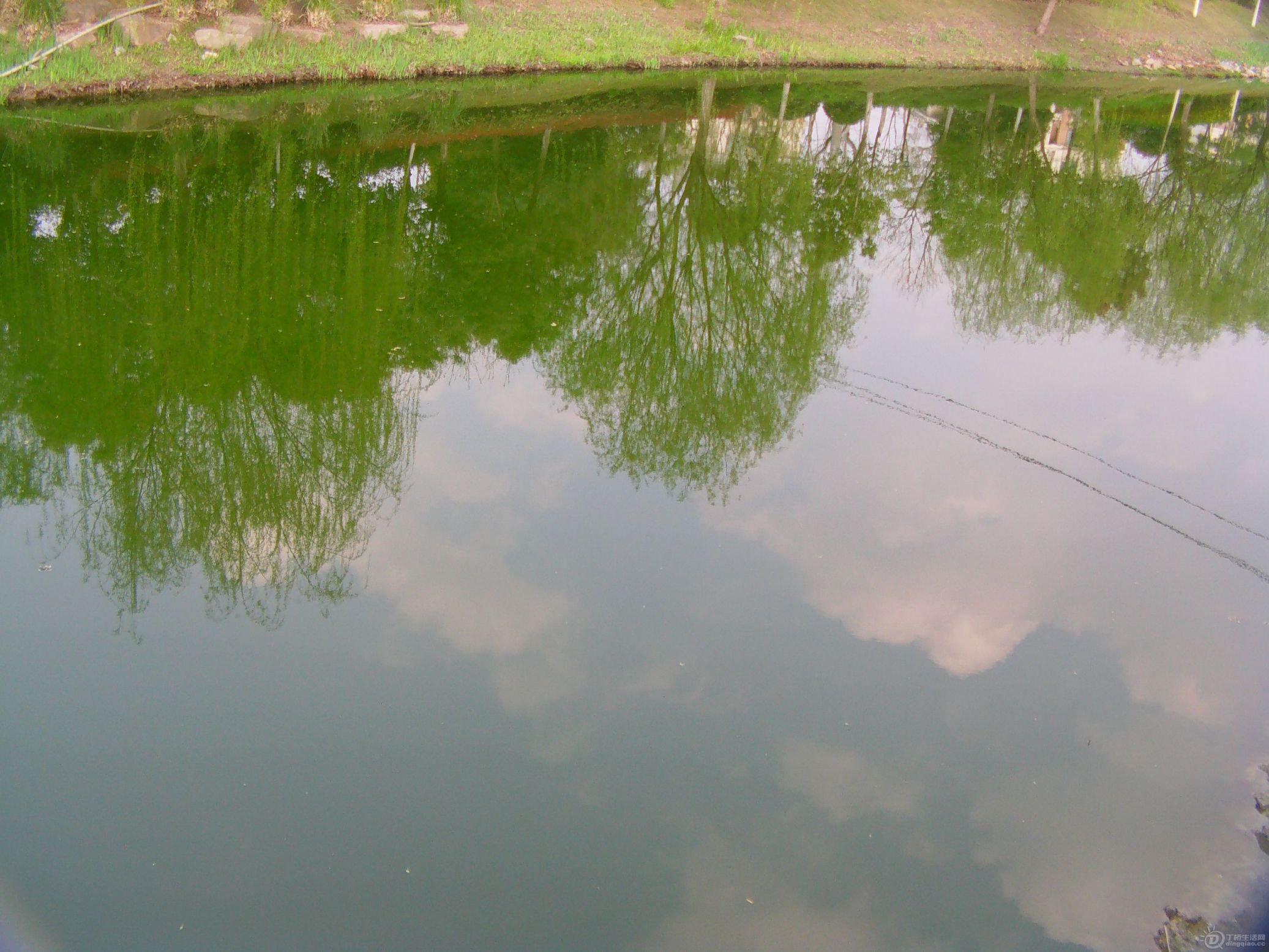 IMAG0050.JPG