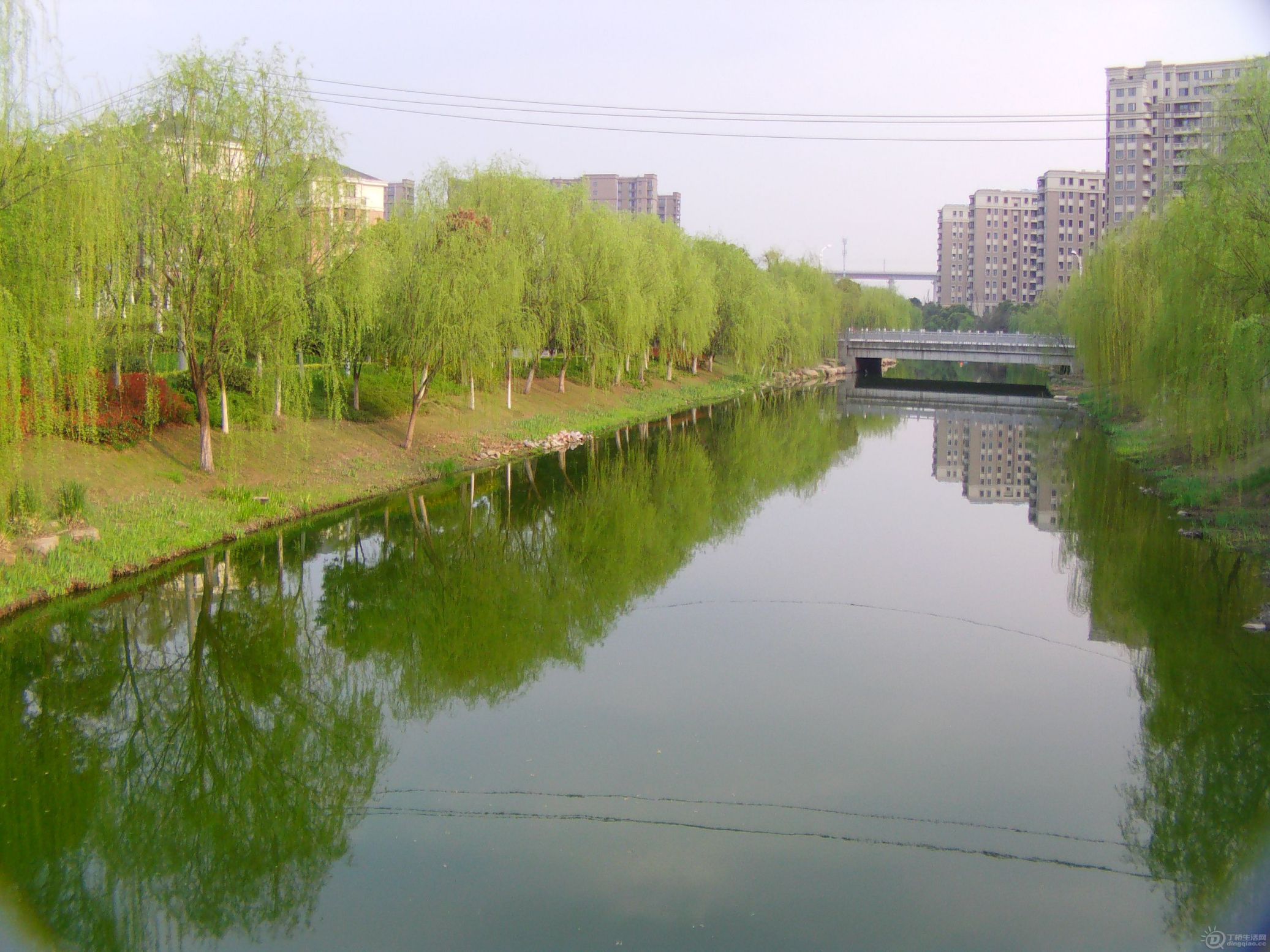 IMAG0052.JPG