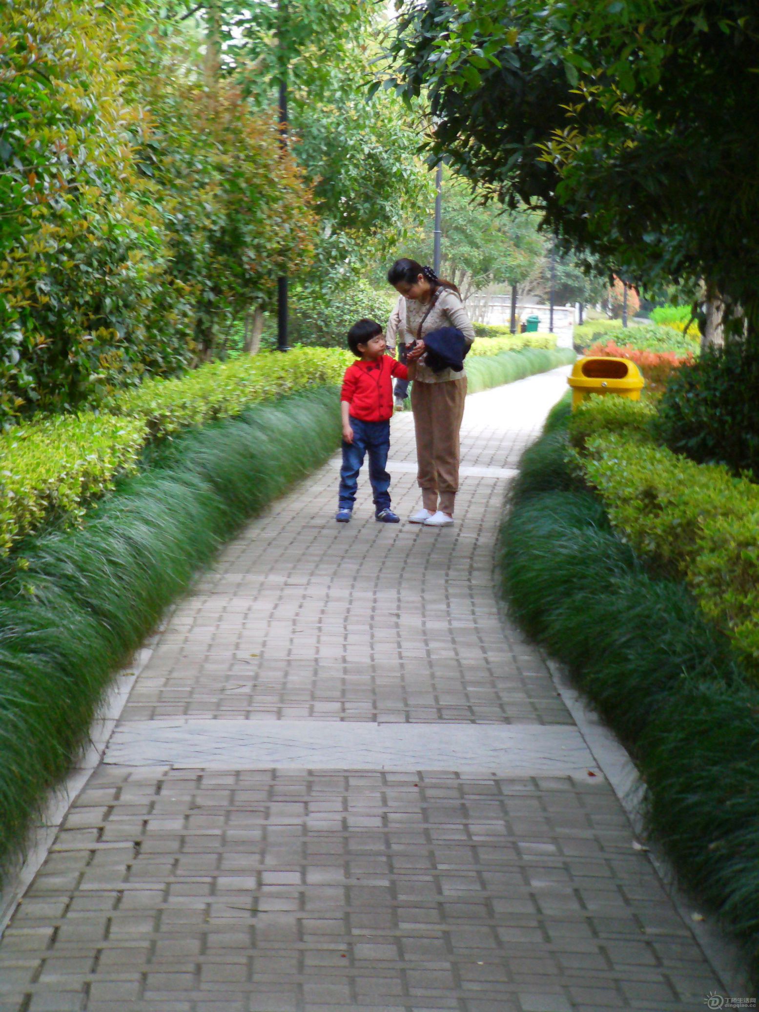 IMAG0053.JPG
