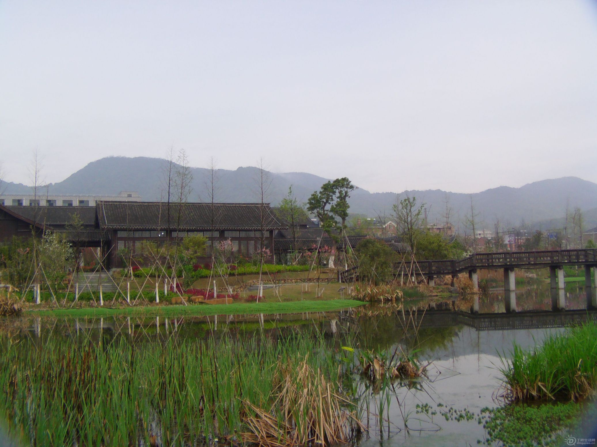 IMAG0204.JPG