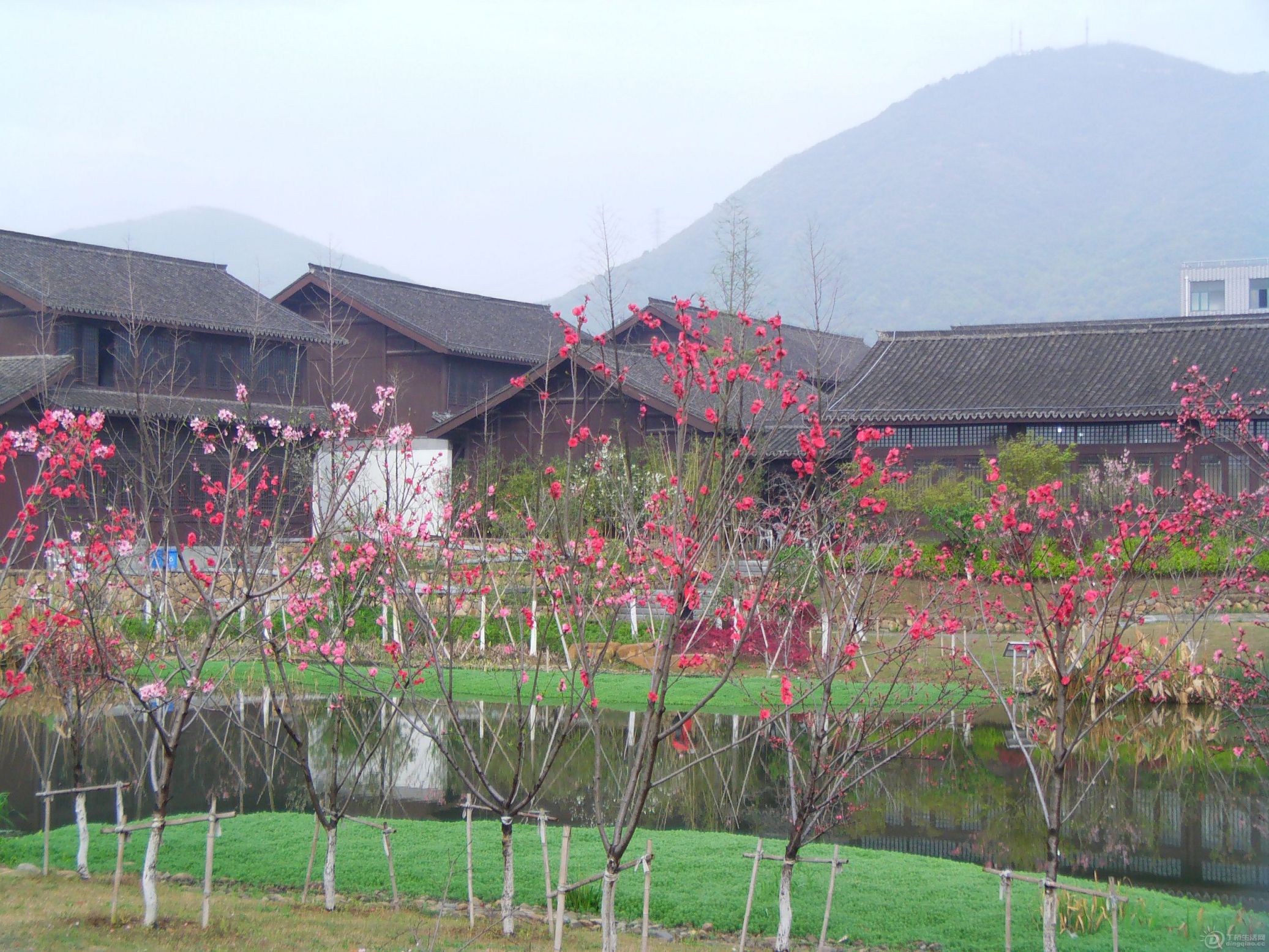 IMAG0206.JPG