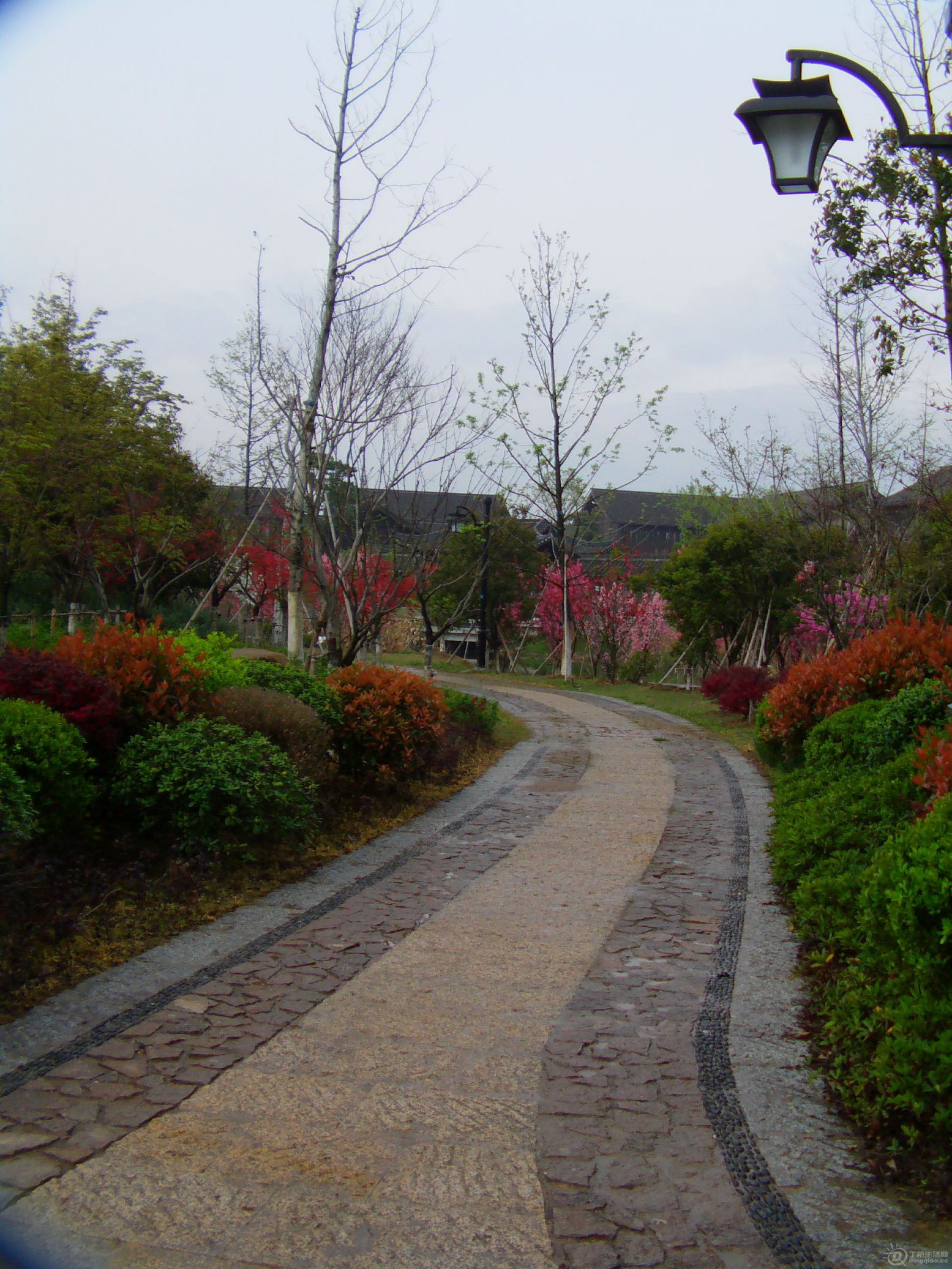 IMAG0207.JPG