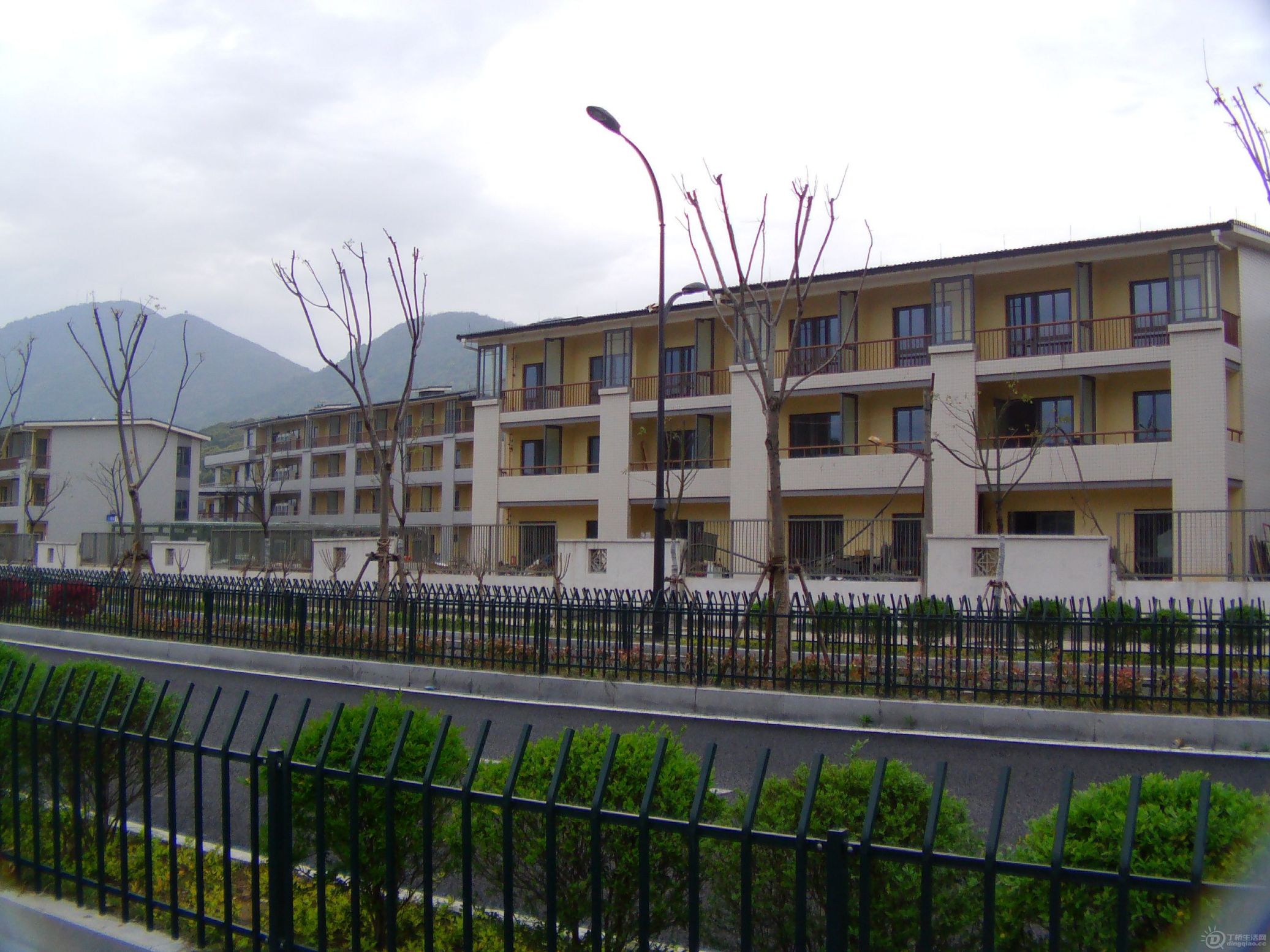 IMAG0218.JPG