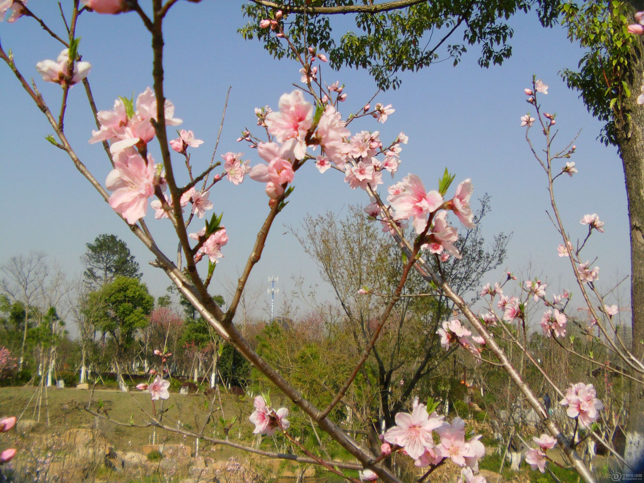IMAG0251.JPG