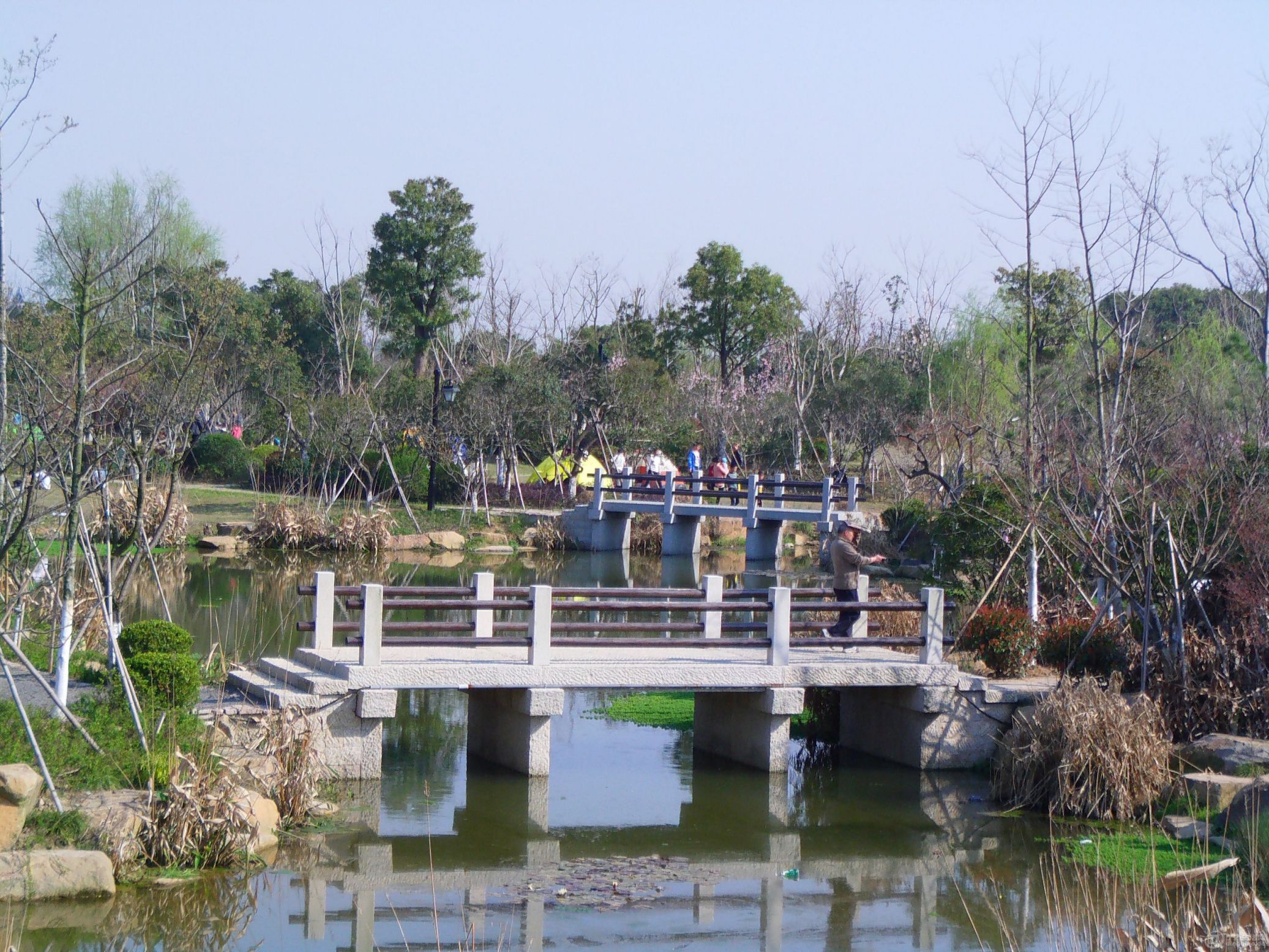 IMAG0254.JPG