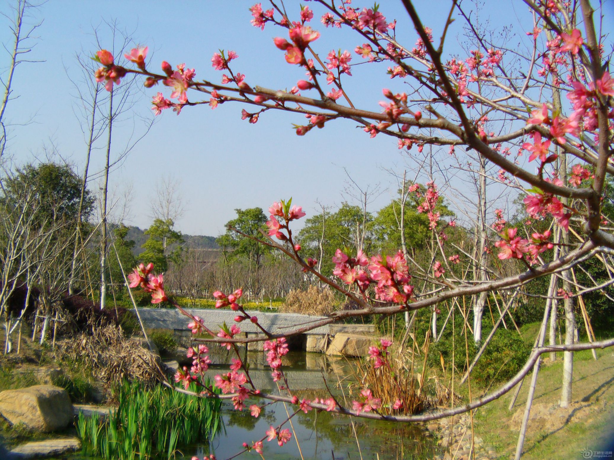 IMAG0270.JPG