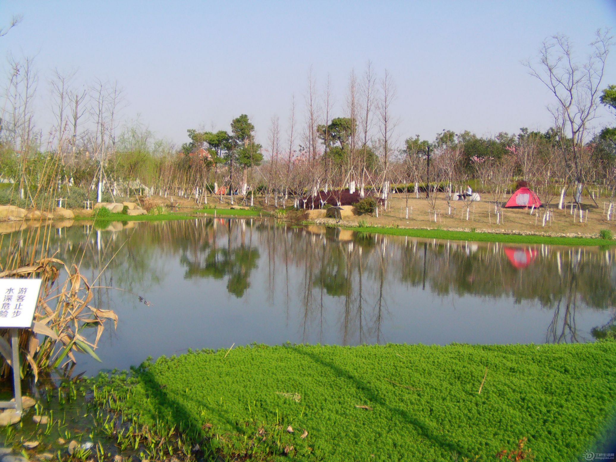 IMAG0273.JPG