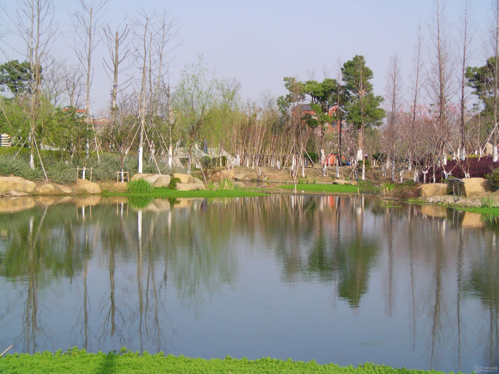 IMAG0274.JPG