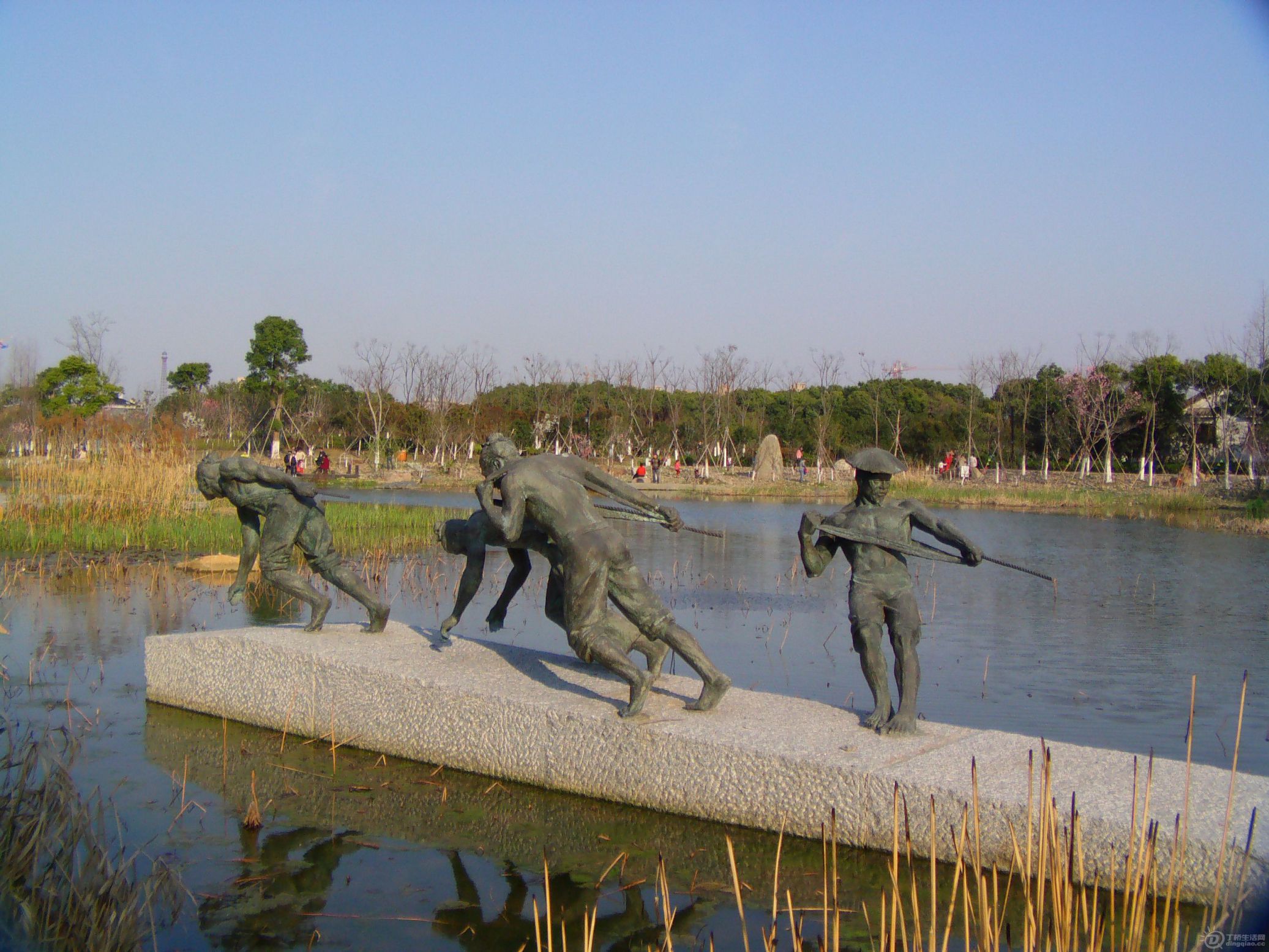 IMAG0278.JPG