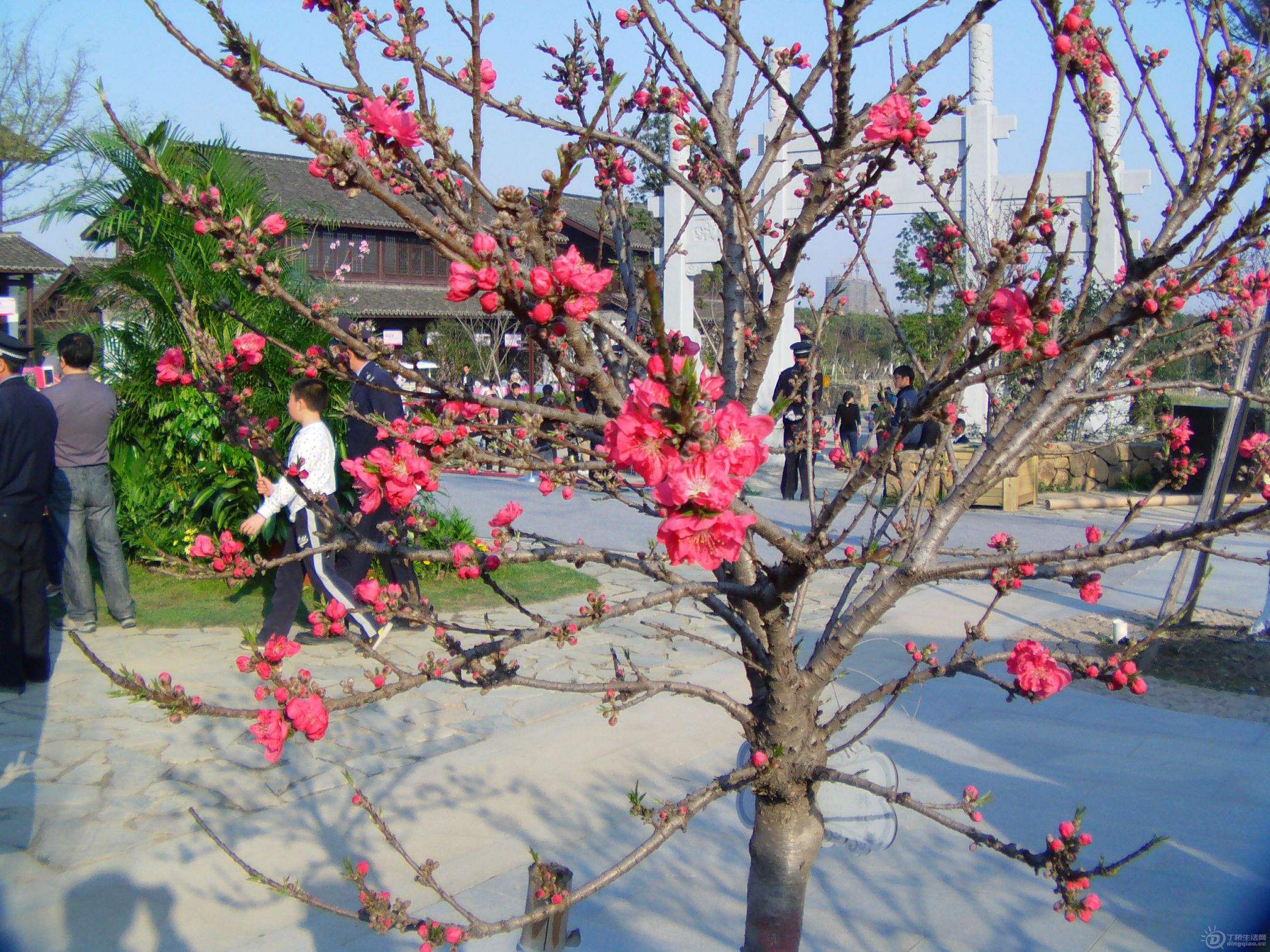 IMAG0281.JPG