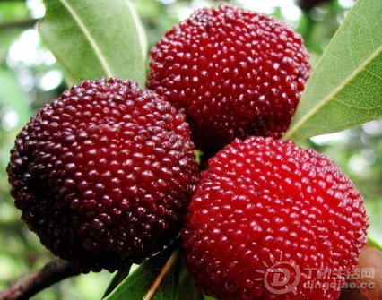 QQͼ20140610102834.png