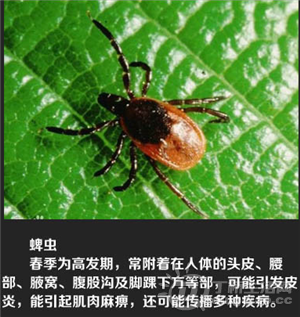 QQͼ20140610103118.png