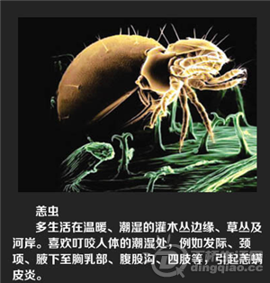 QQͼ20140610103147.png