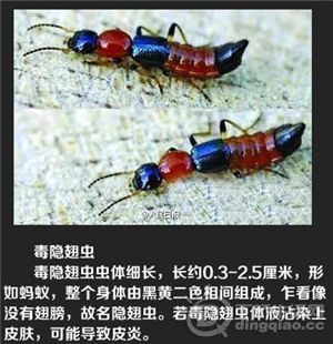 QQͼ20140610103214.png