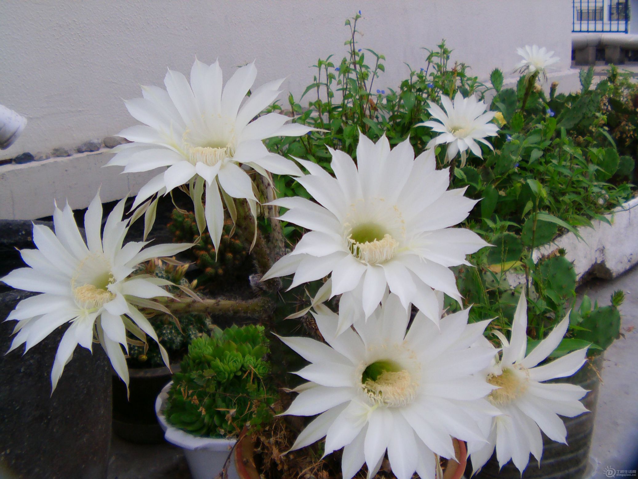 IMAG0167.JPG