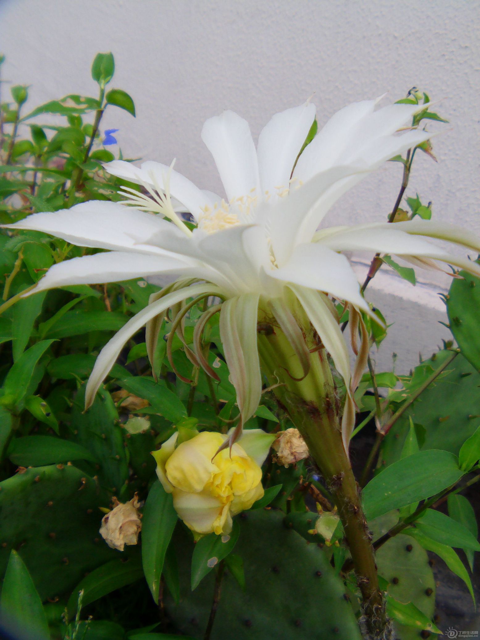 IMAG0174.JPG