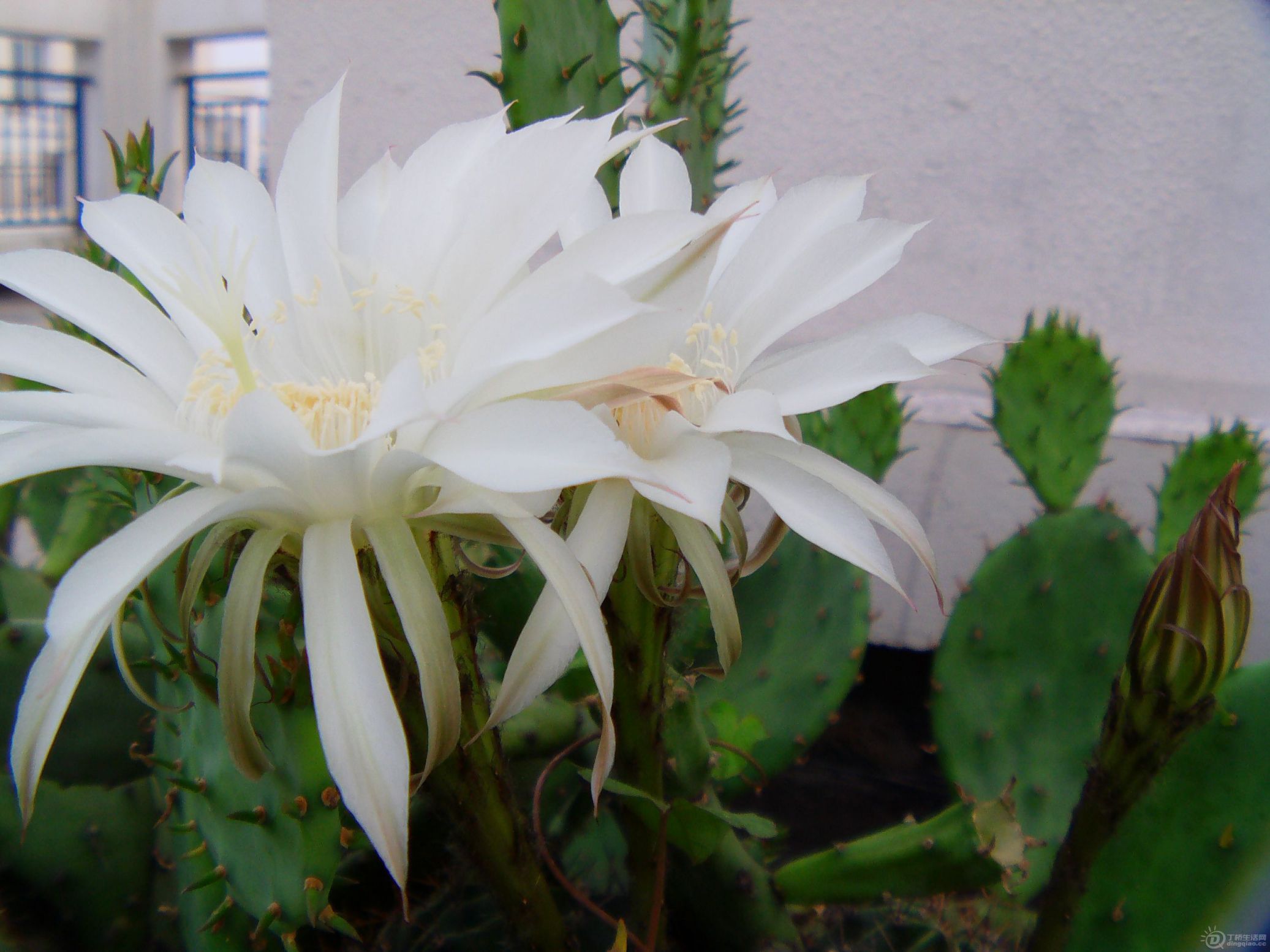 IMAG0178.JPG