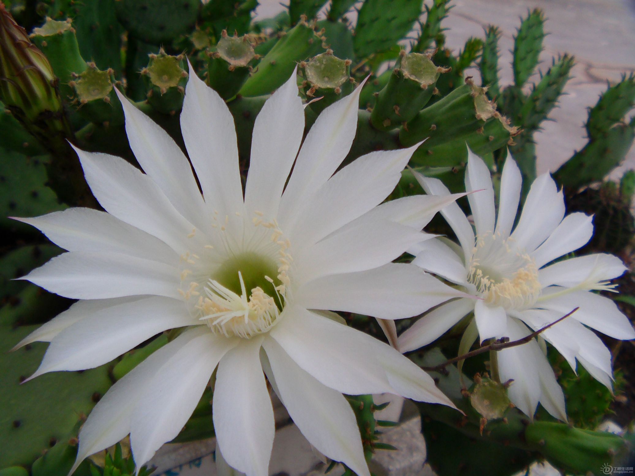 IMAG0179.JPG