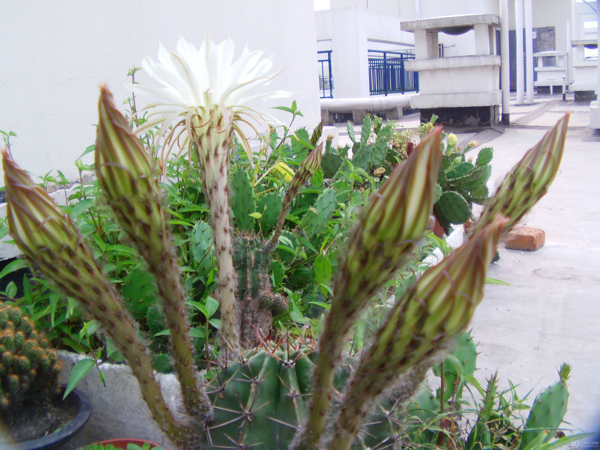 IMAG0020.JPG