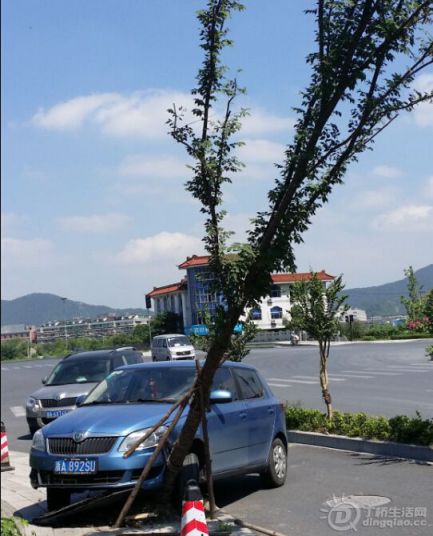 201407232200011434.jpg
