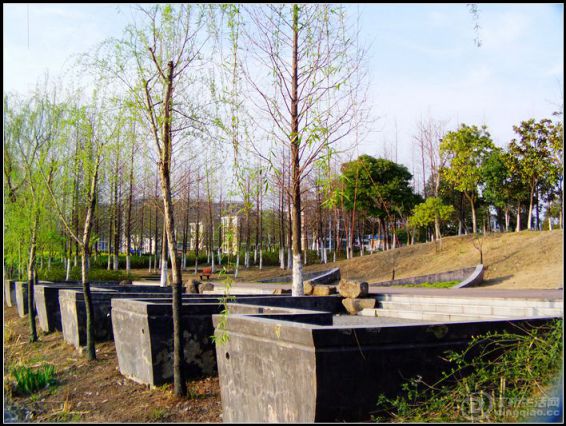 IMAG0096.JPG
