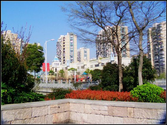 IMAG0212.JPG