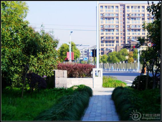 IMAG0236.JPG