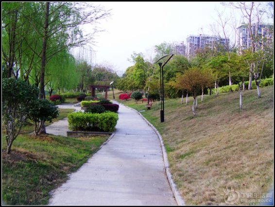 IMAG0263.JPG