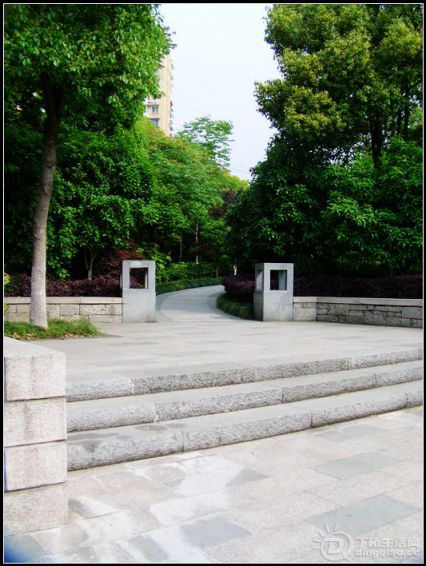 IMAG0733.JPG