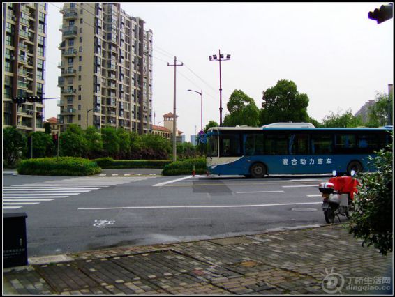 IMAG0826.JPG