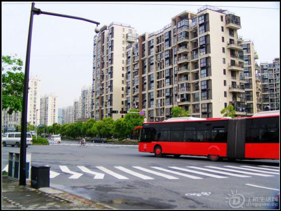 IMAG0824.JPG