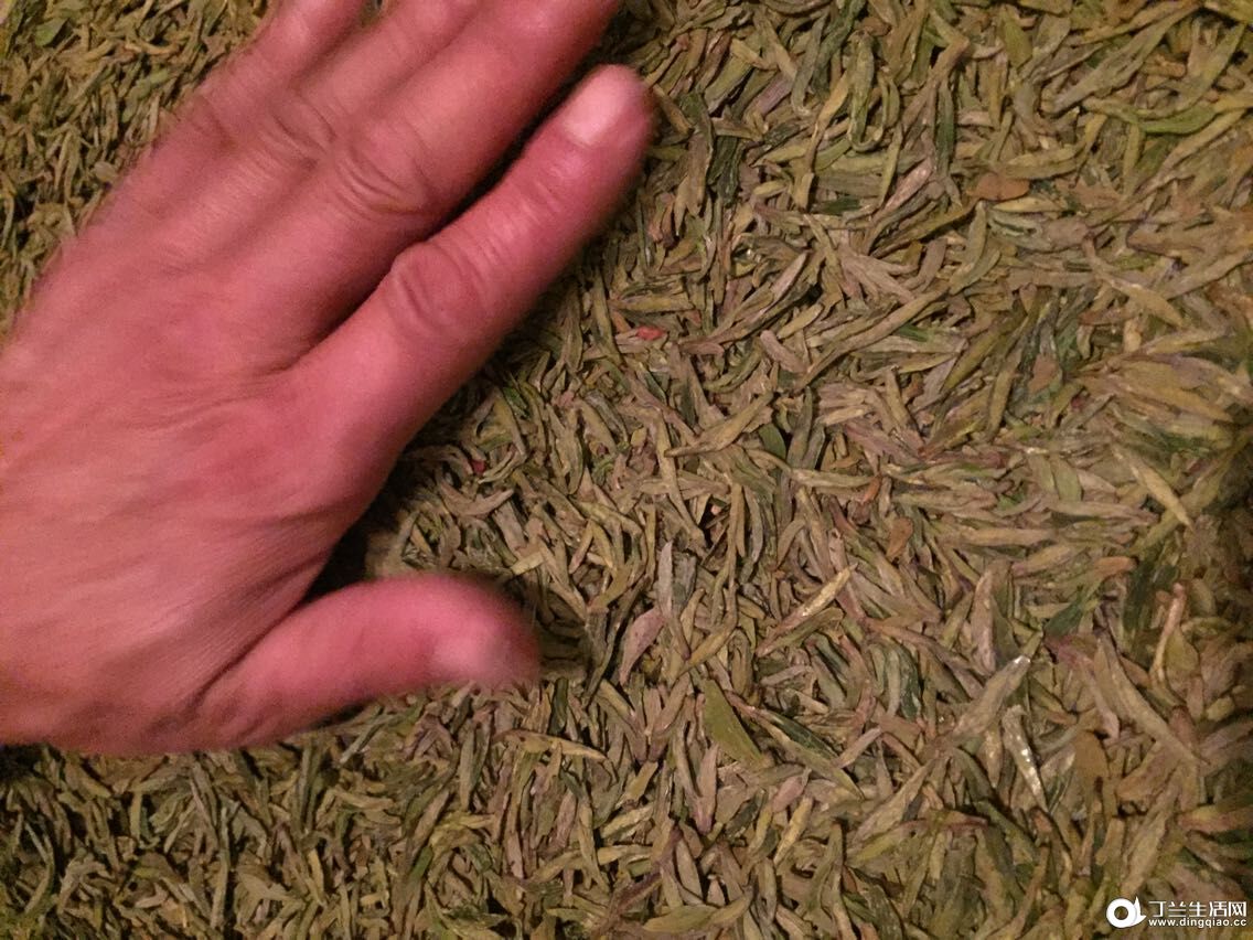 QQͼƬ20150408132159.jpg