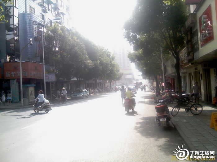 IMAG0308.jpg
