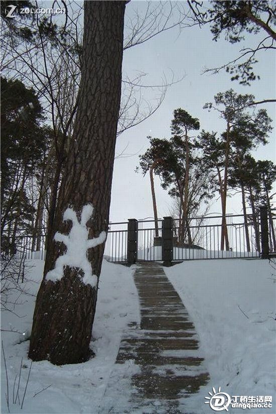 201042211522054.jpg