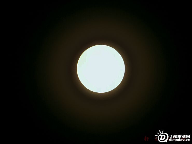 20100825_8ce0834011ca88fb7779n733TzZTMqEb.jpg
