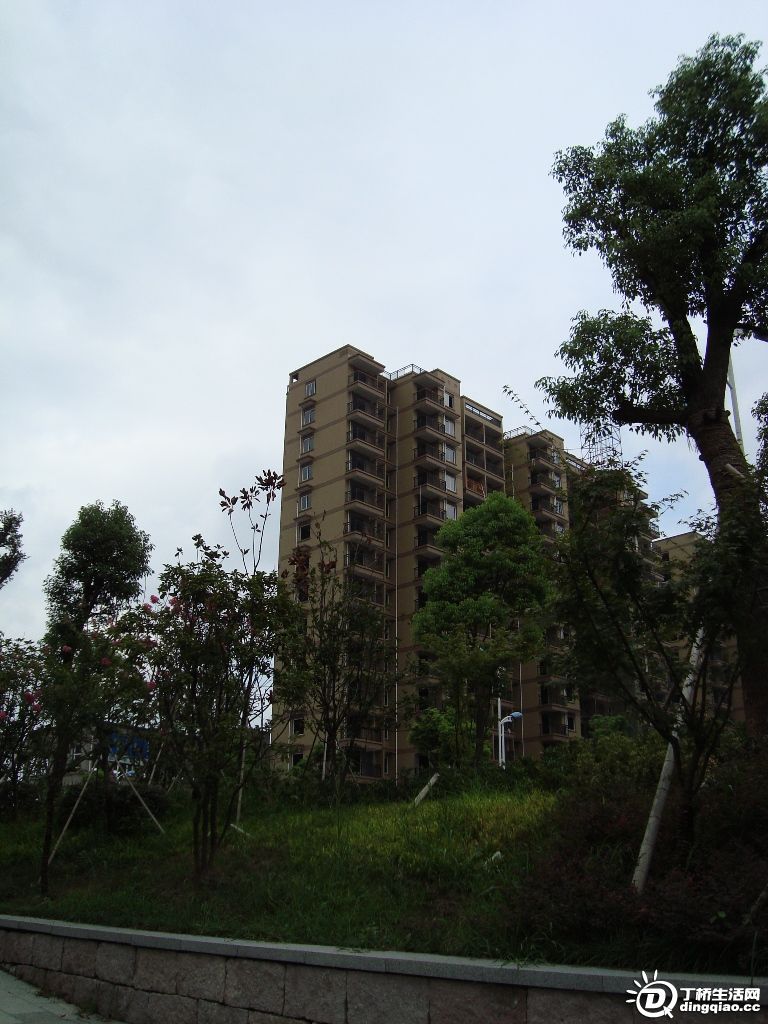 DSC00034.JPG