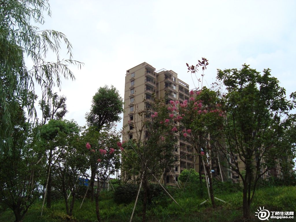 DSC00036.JPG