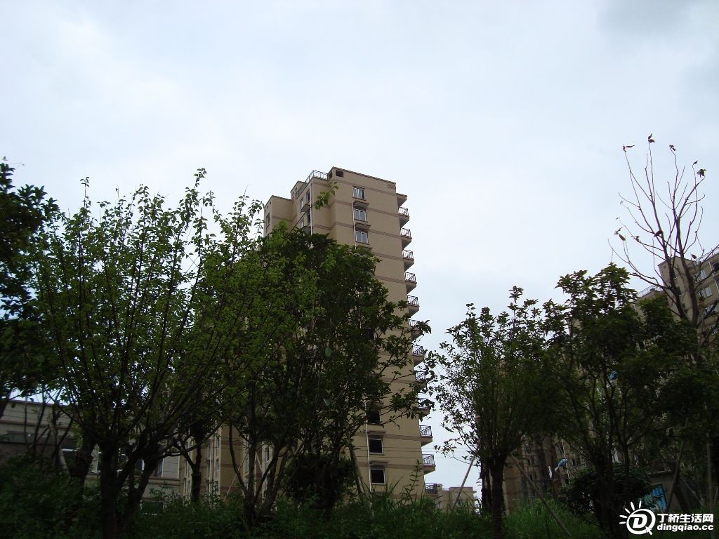 DSC00037.JPG