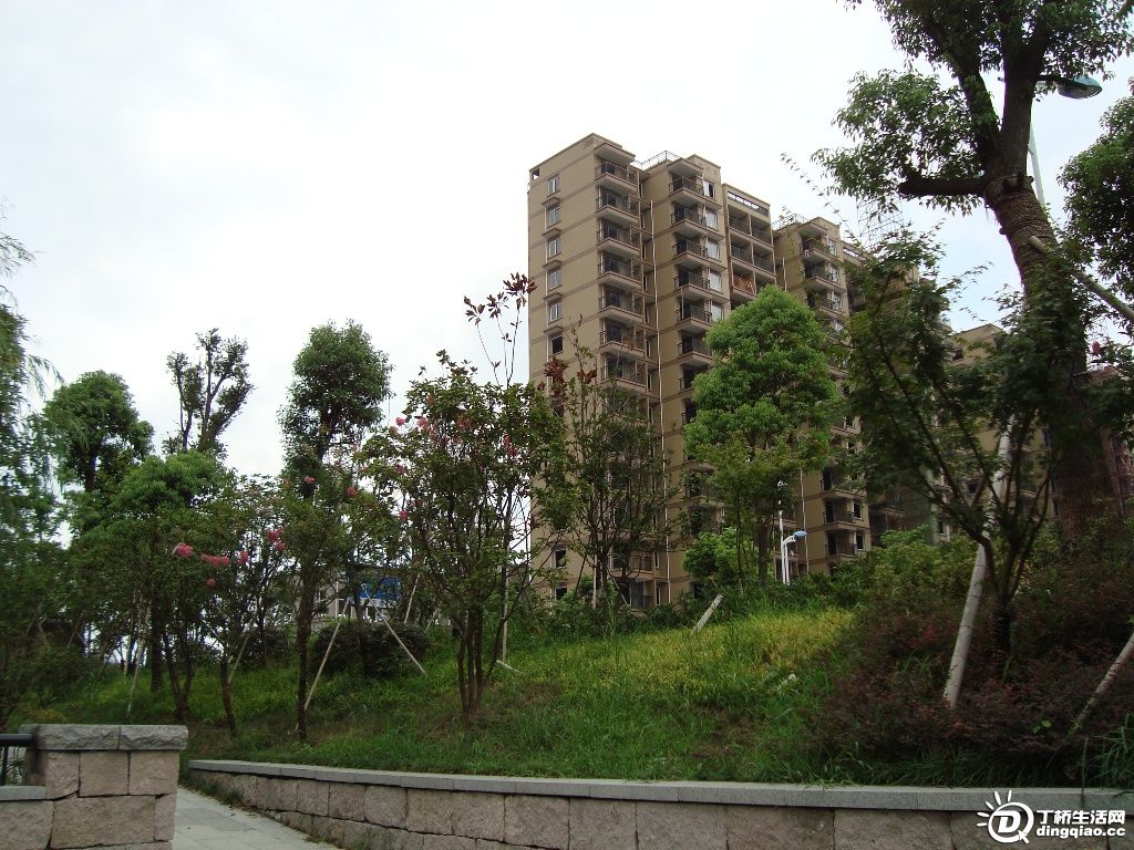 DSC00035.JPG