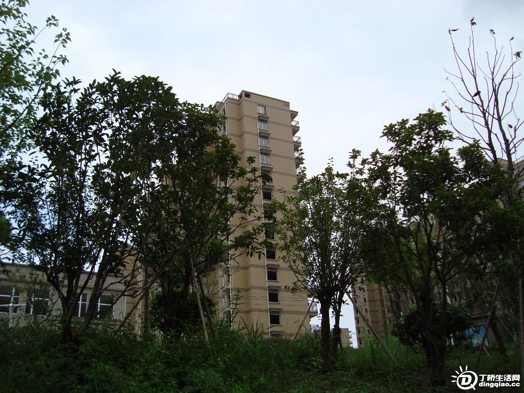 DSC00039.JPG