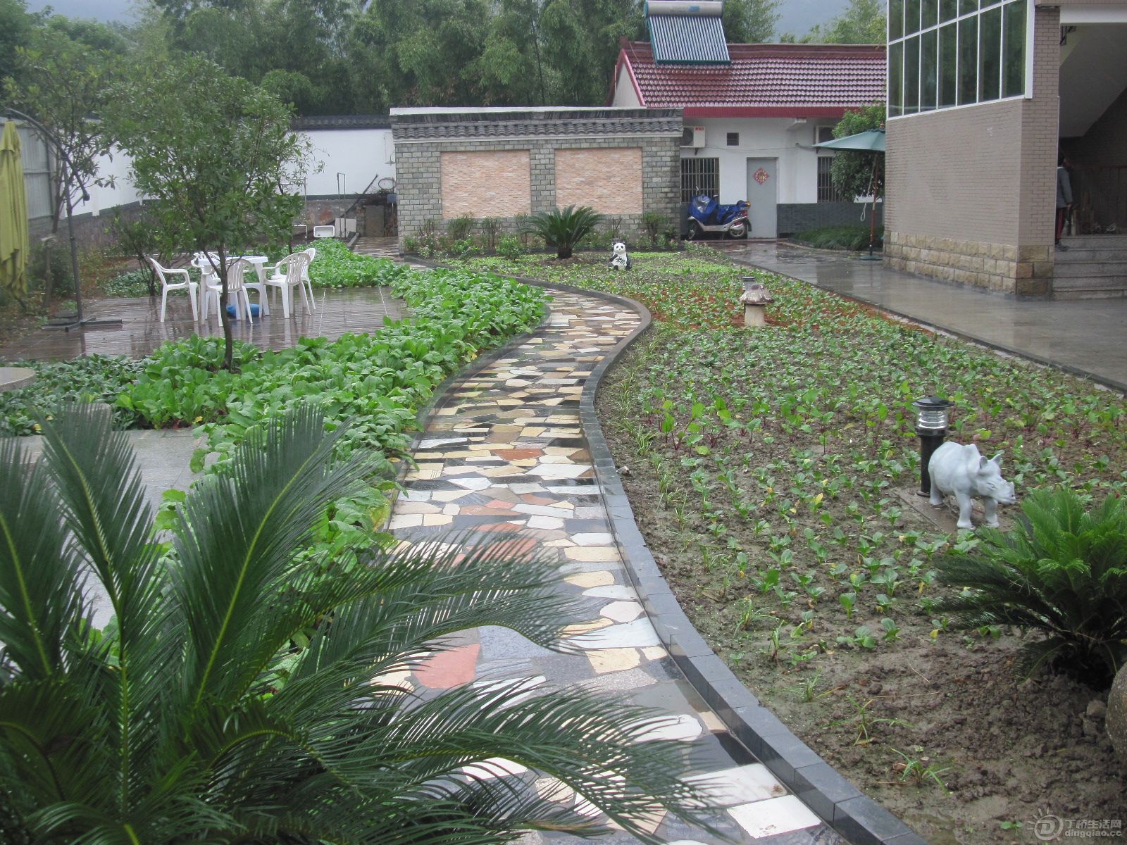 Ƭ 209.jpg