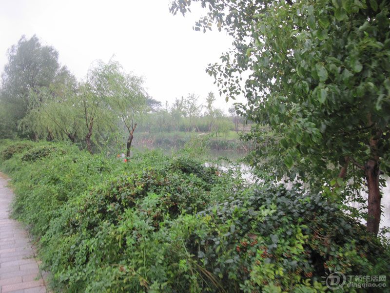 Ƭ-205.jpg