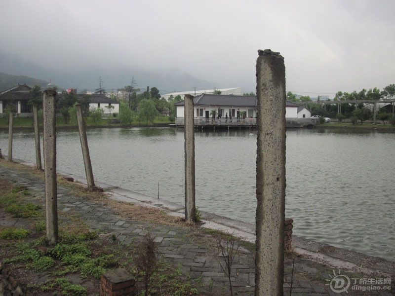 Ƭ-203.jpg