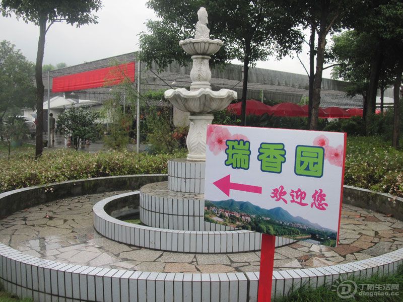 Ƭ-206.jpg