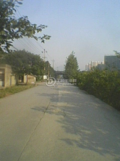 IMG0101A.jpg