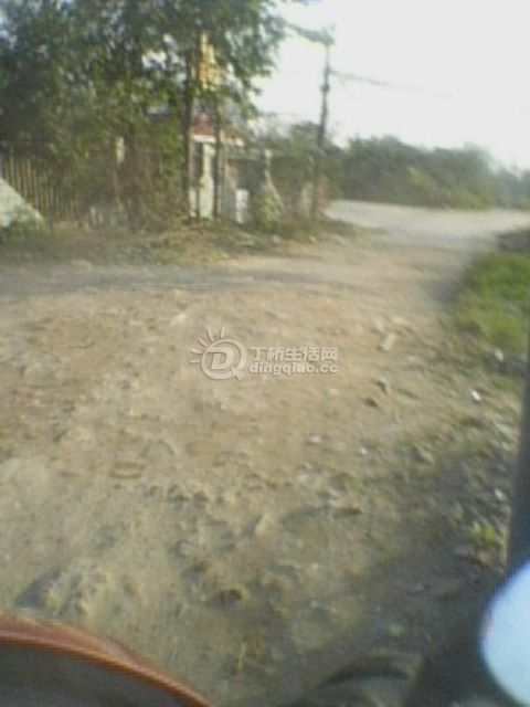 IMG0100A.jpg