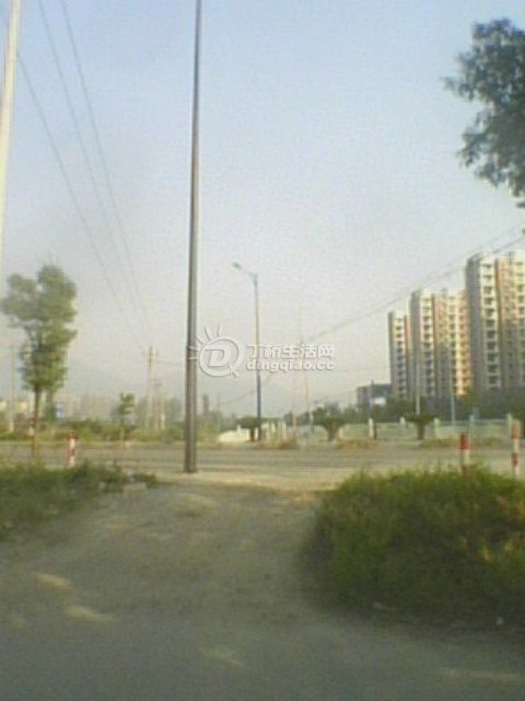 IMG0102A.jpg